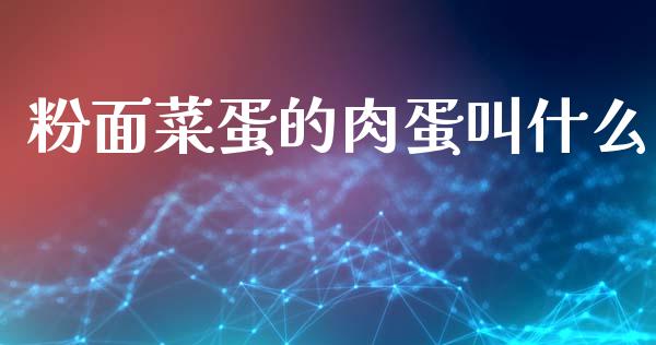 粉面菜蛋的肉蛋叫什么_https://www.kuaijiepai.net_国际期货_第1张