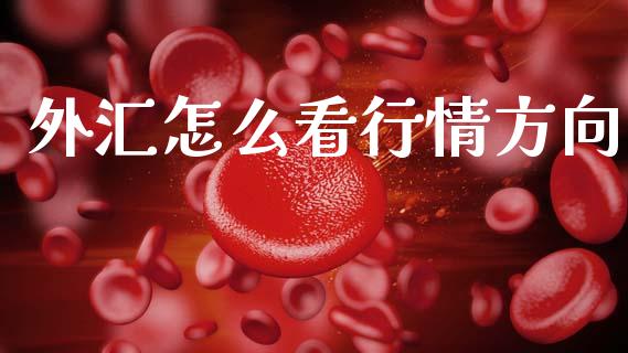 外汇怎么看行情方向_https://www.kuaijiepai.net_股票理论_第1张