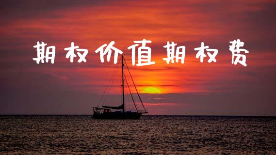 期权价值期权费_https://www.kuaijiepai.net_国际股建_第1张