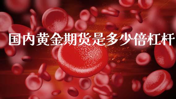 国内黄金期货是多少倍杠杆_https://www.kuaijiepai.net_国际期货_第1张