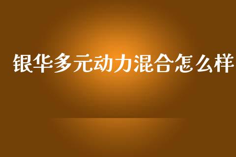 银华多元动力混合怎么样_https://www.kuaijiepai.net_国际期货_第1张
