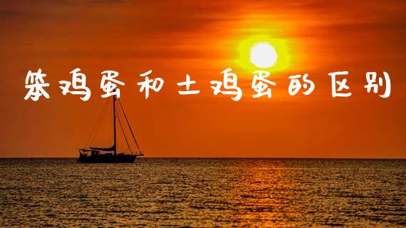 笨鸡蛋和土鸡蛋的区别_https://www.kuaijiepai.net_期货资讯_第1张