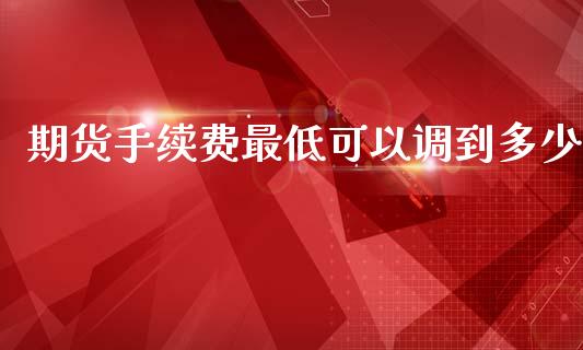 期货手续费最低可以调到多少_https://www.kuaijiepai.net_期货资讯_第1张