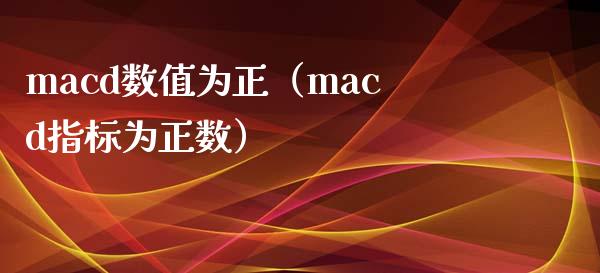 macd数值为正（macd指标为正数）_https://www.kuaijiepai.net_期货在线_第1张