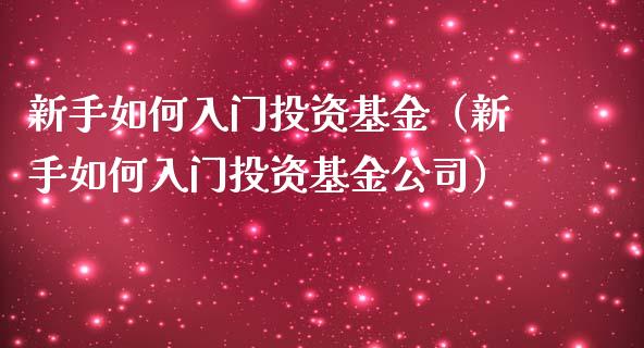新手如何入门投资基金（新手如何入门投资基金公司）_https://www.kuaijiepai.net_期货理财_第1张