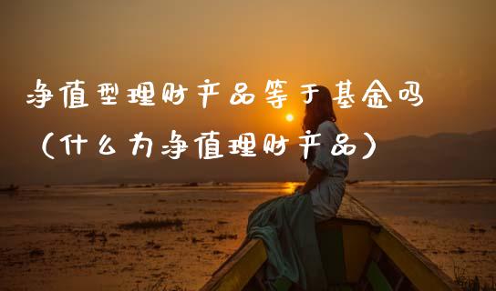 净值型理财产品等于基金吗（什么为净值理财产品）_https://www.kuaijiepai.net_期货理财_第1张