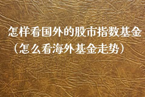 怎样看国外的股市指数基金（怎么看海外基金走势）_https://www.kuaijiepai.net_期货理财_第1张