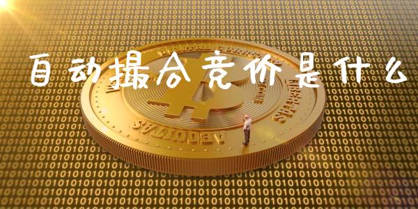 自动撮合竞价是什么_https://www.kuaijiepai.net_期货资讯_第1张