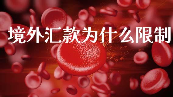 境外汇款为什么限制_https://www.kuaijiepai.net_投资理财_第1张