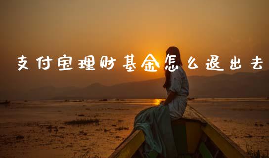 支付宝理财基金怎么退出去_https://www.kuaijiepai.net_期货理财_第1张