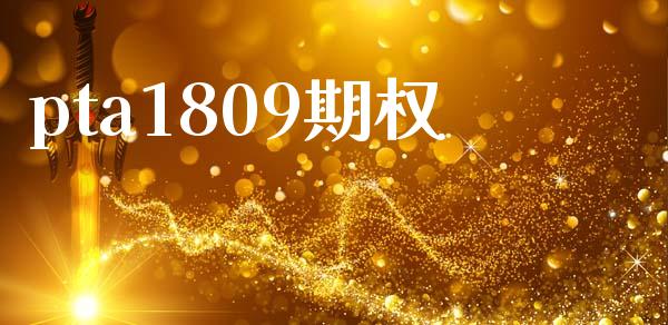 pta1809期权_https://www.kuaijiepai.net_期货理财_第1张