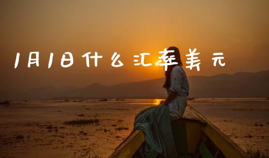 1月1日什么汇率美元_https://www.kuaijiepai.net_期货理财_第1张