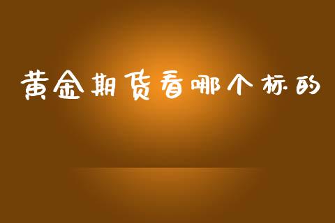 黄金期货看哪个标的_https://www.kuaijiepai.net_期货资讯_第1张