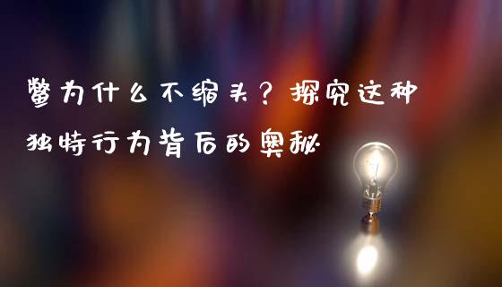 鳖为什么不缩头？探究这种独特行为背后的奥秘_https://www.kuaijiepai.net_期货理财_第1张