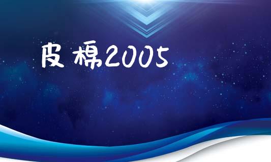 皮棉2005_https://www.kuaijiepai.net_国际期货_第1张