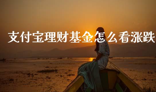 支付宝理财基金怎么看涨跌_https://www.kuaijiepai.net_投资理财_第1张