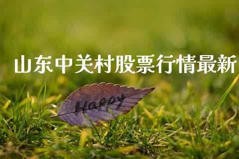 山东中关村股票行情最新_https://www.kuaijiepai.net_新股新闻_第1张