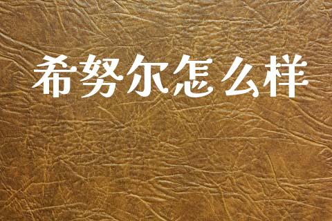 希努尔怎么样_https://www.kuaijiepai.net_期货理财_第1张