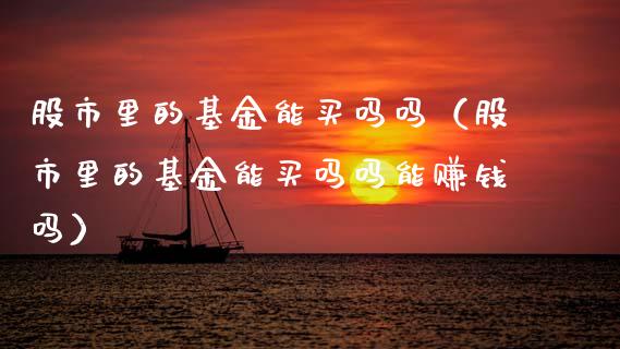 股市里的基金能买吗吗（股市里的基金能买吗吗能赚钱吗）_https://www.kuaijiepai.net_投资理财_第1张