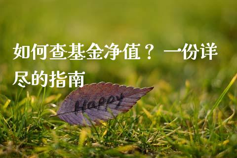如何查基金净值？ 一份详尽的指南_https://www.kuaijiepai.net_投资理财_第1张