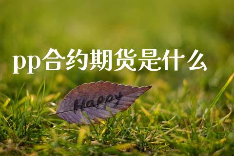 pp合约期货是什么_https://www.kuaijiepai.net_期货在线_第1张