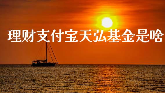 理财支付宝天弘基金是啥_https://www.kuaijiepai.net_期货理财_第1张