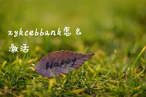 xykcebbank怎么激活_https://www.kuaijiepai.net_期货资讯_第1张
