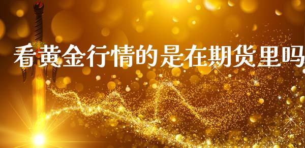 看黄金行情的是在期货里吗_https://www.kuaijiepai.net_期货资讯_第1张