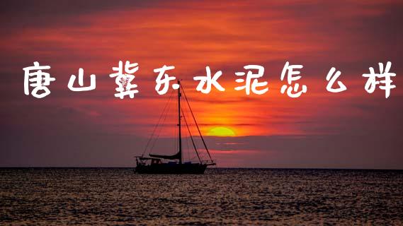 唐山冀东水泥怎么样_https://www.kuaijiepai.net_投资理财_第1张