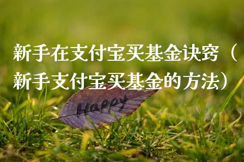 新手在支付宝买基金诀窍（新手支付宝买基金的方法）_https://www.kuaijiepai.net_投资理财_第1张