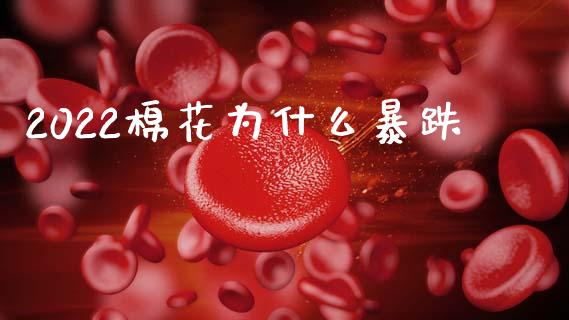 2022棉花为什么暴跌_https://www.kuaijiepai.net_国际期货_第1张