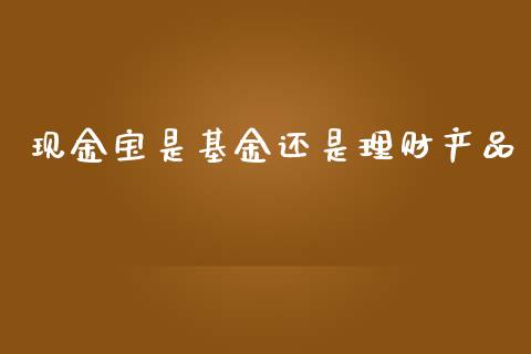 现金宝是基金还是理财产品_https://www.kuaijiepai.net_期货理财_第1张