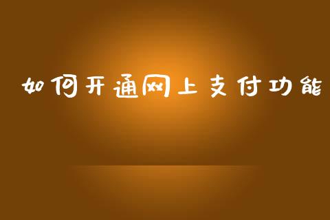 如何开通网上支付功能_https://www.kuaijiepai.net_股票理论_第1张