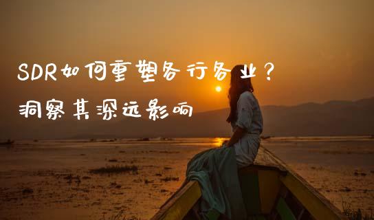 SDR如何重塑各行各业？洞察其深远影响_https://www.kuaijiepai.net_期货在线_第1张