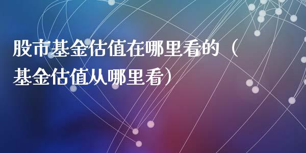 股市基金估值在哪里看的（基金估值从哪里看）_https://www.kuaijiepai.net_投资理财_第1张