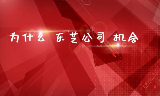 为什么 东芝公司 机会_https://www.kuaijiepai.net_期货在线_第1张