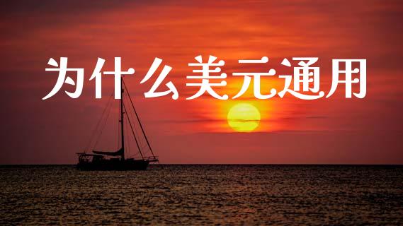 为什么美元通用_https://www.kuaijiepai.net_期货在线_第1张