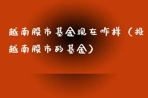 越南股市基金现在咋样（投越南股市的基金）_https://www.kuaijiepai.net_期货理财_第1张
