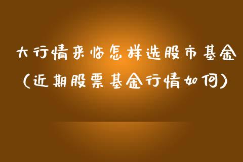 大行情来临怎样选股市基金（近期股票基金行情如何）_https://www.kuaijiepai.net_投资理财_第1张