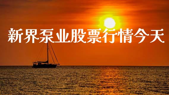 新界泵业股票行情今天_https://www.kuaijiepai.net_新股新闻_第1张