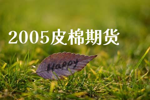 2005皮棉期货_https://www.kuaijiepai.net_期货资讯_第1张