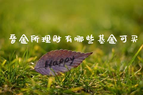 晋金所理财有哪些基金可买_https://www.kuaijiepai.net_期货理财_第1张