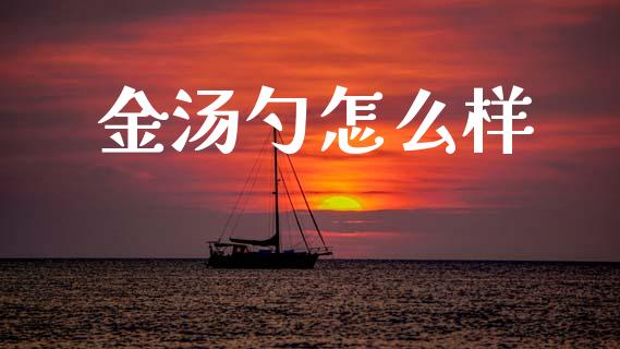 金汤勺怎么样_https://www.kuaijiepai.net_投资理财_第1张