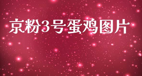 京粉3号蛋鸡图片_https://www.kuaijiepai.net_国际期货_第1张