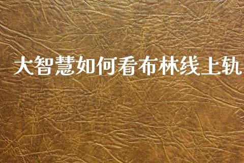 大智慧如何看布林线上轨_https://www.kuaijiepai.net_投资理财_第1张