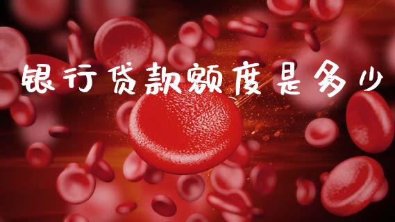 银行贷款额度是多少_https://www.kuaijiepai.net_股票理论_第1张
