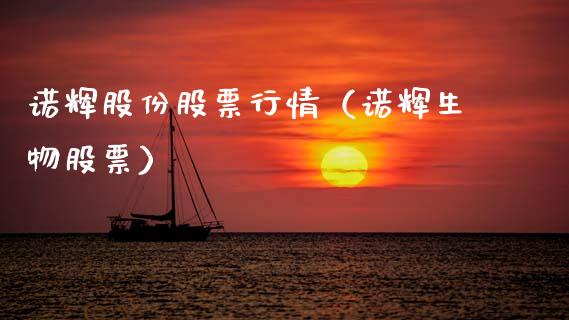 诺辉股份股票行情（诺辉生物股票）_https://www.kuaijiepai.net_新股新闻_第1张