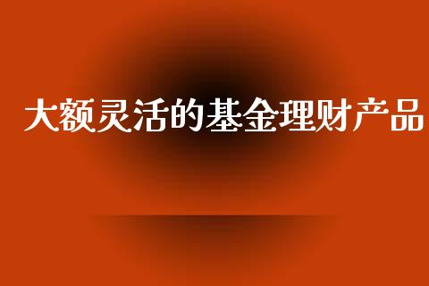 大额灵活的基金理财产品_https://www.kuaijiepai.net_投资理财_第1张