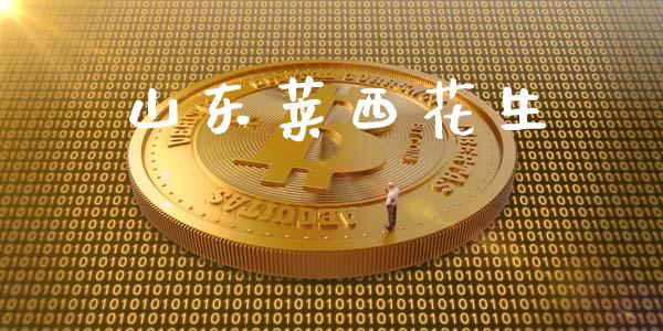 山东莱西花生_https://www.kuaijiepai.net_期货资讯_第1张