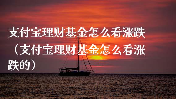 支付宝理财基金怎么看涨跌（支付宝理财基金怎么看涨跌的）_https://www.kuaijiepai.net_投资理财_第1张